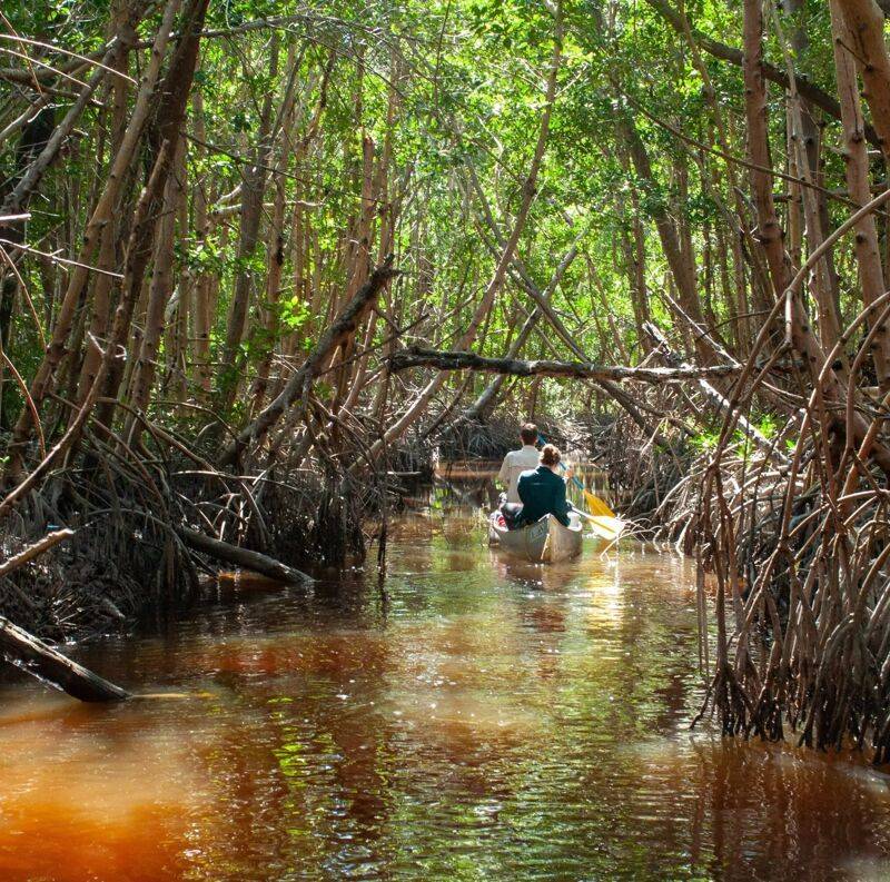 More Than A Paddle: The Thousand Islands' Ecological Story