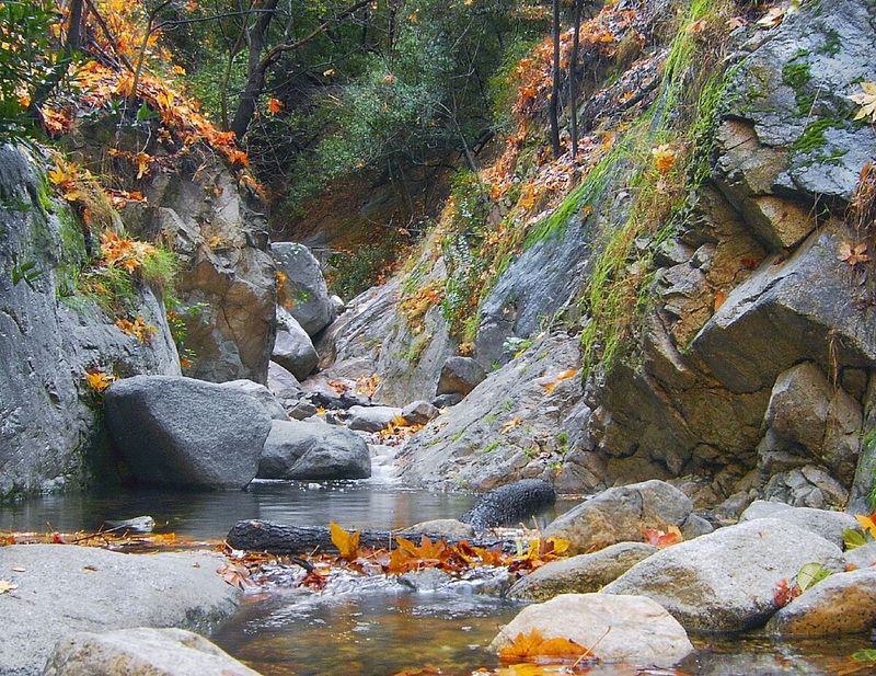 Big Santa Anita Canyon (Sierra Madre)