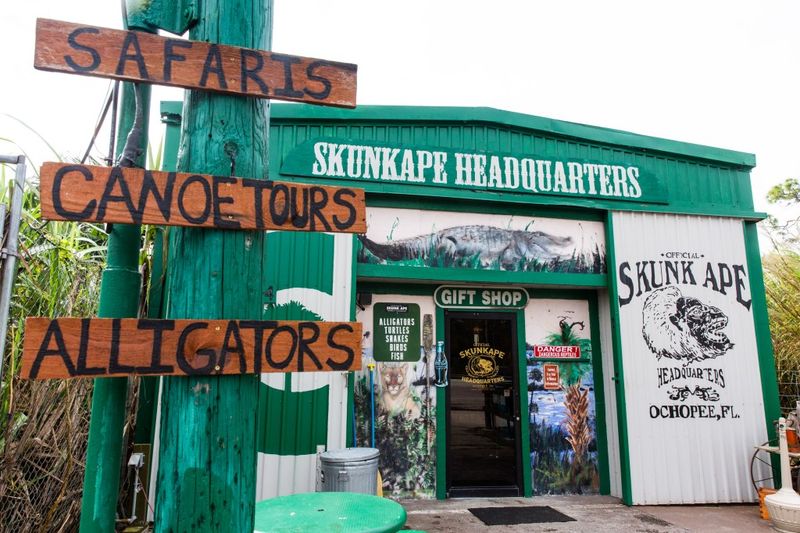 How the Legend of the Skunk Ape Was Born