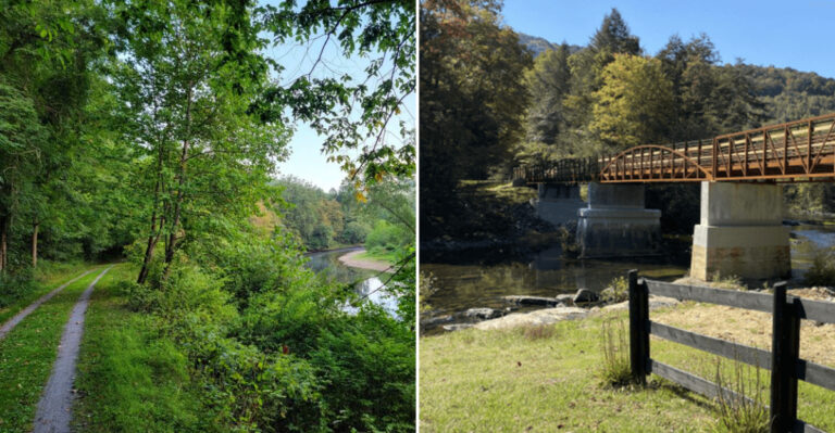These Abandoned West Virginia Railroads Have Been Overtaken By Nature
