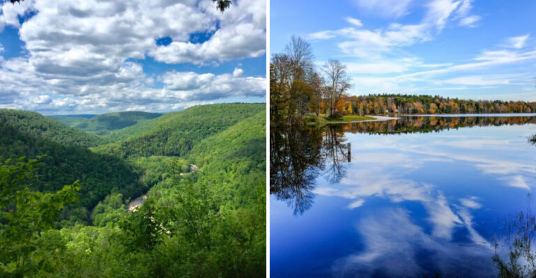 This Quiet Pennsylvania Forest Town Is The State’s Most Underrated Escape