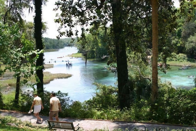 A Scenic Paved Path Through Florida's Oldest Natural Attraction
