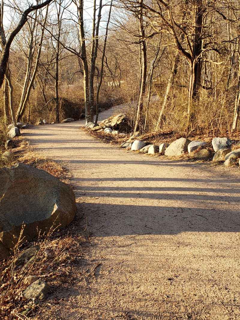 The Greenway Trail: Madison's Quiet, Two-Wheeled Escape