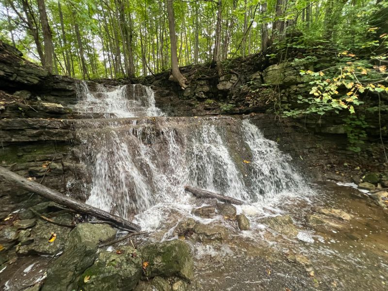 Perryville Falls (Perryville, NY)