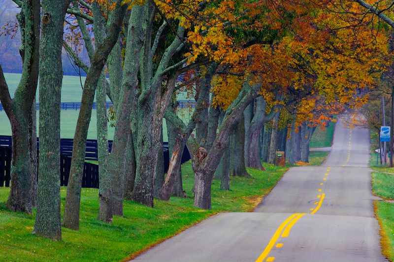Delong Road (Southeast Lexington Area)