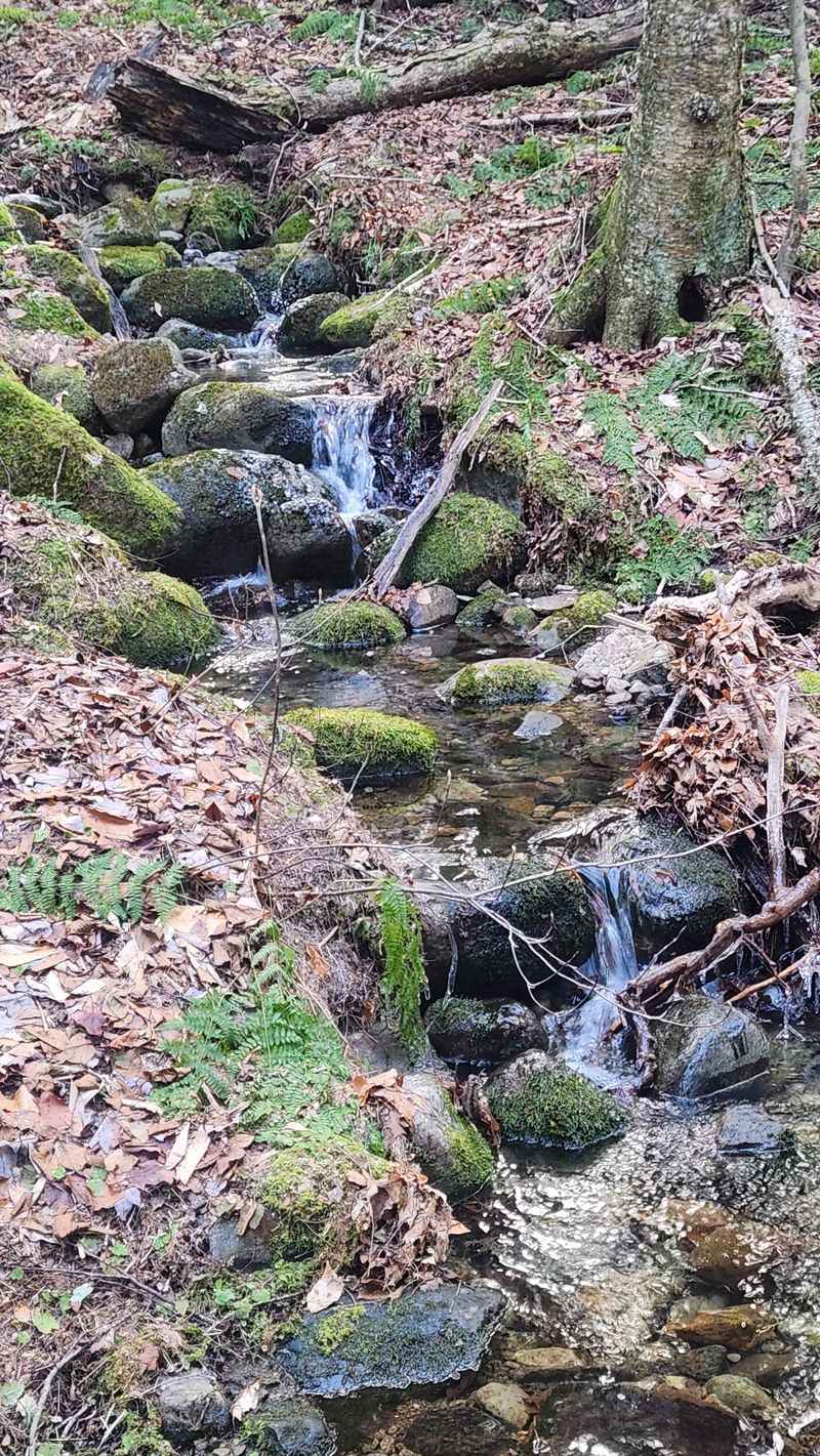 Groff Creek Falls (Hope, NY)