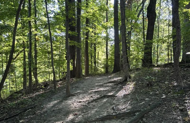 Nature Trails and Green Spaces Just Steps Away