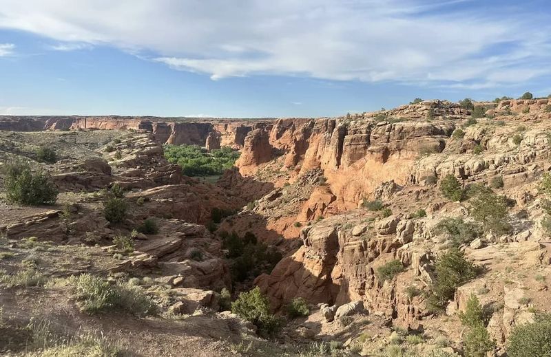 Panoramic Perfection