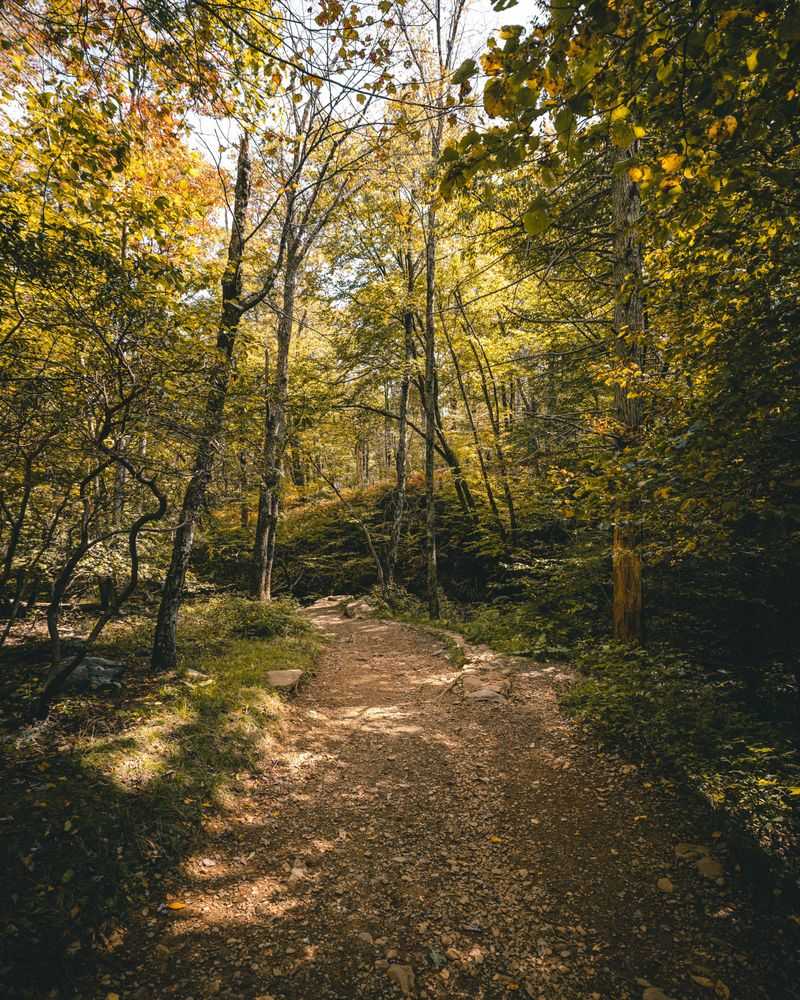 A Moderate Hike Perfect For Families And First-Timers