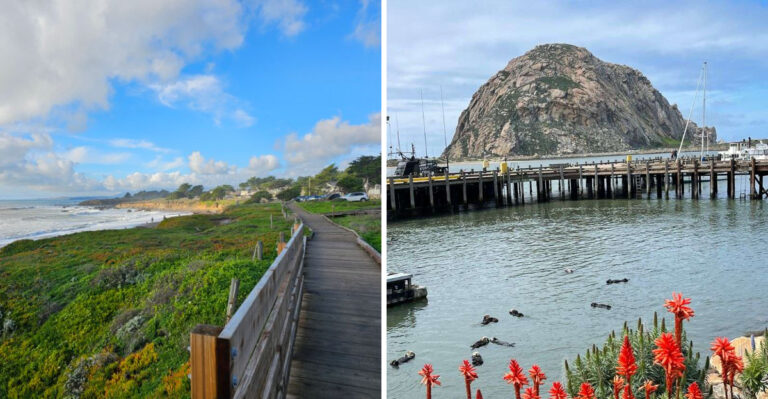 10 Off-The-Grid Beach Towns In California For Ultimate Relaxation