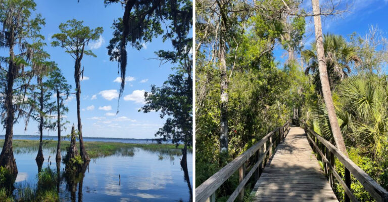 10 Underrated Florida Parks Where You Can Truly Relax Outdoors