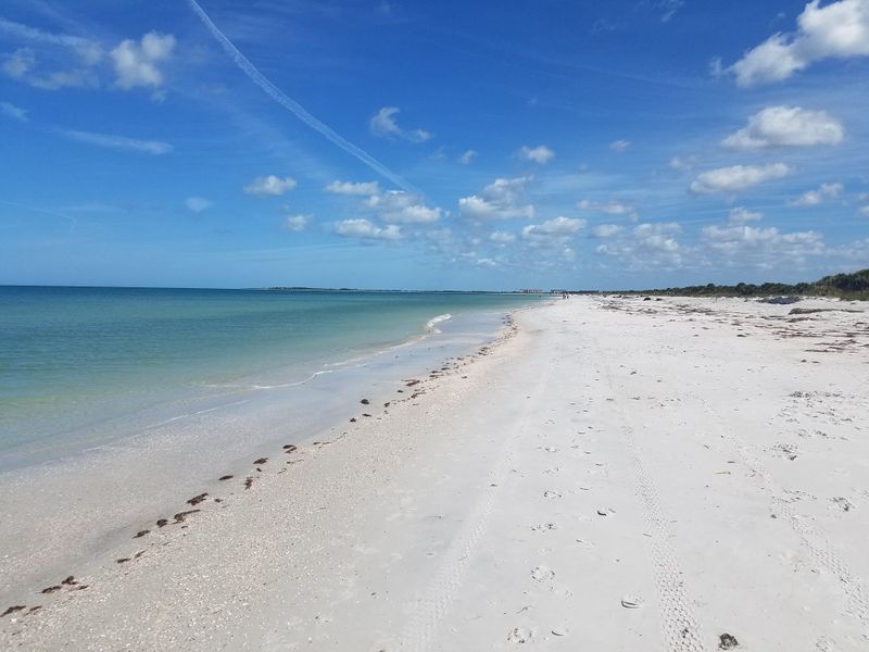 Caladesi Island State Park (Dunedin / Clearwater Area)
