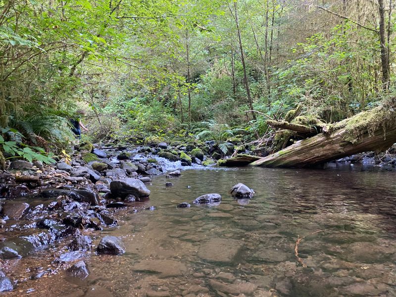 Rock Creek Wilderness