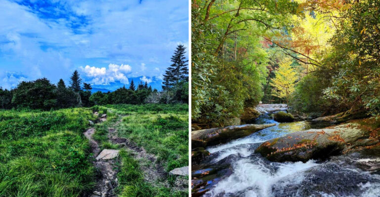 12 Hidden Smoky Mountain Hikes In Tennessee You Need To Explore