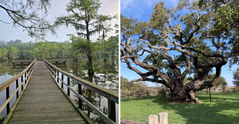 12 Secret Texas Parks For Slow Mornings And Silent Trails