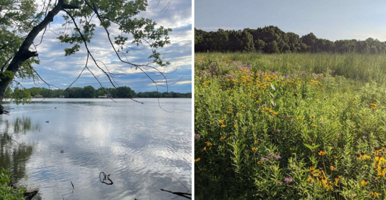12 Underrated Nature Reserves In Illinois To Explore This Weekend