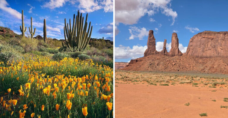 13 Beautiful Desert Landscapes To Explore In Arizona