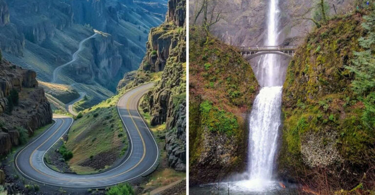 14 Best Scenic Drives In Oregon For Nature Lovers