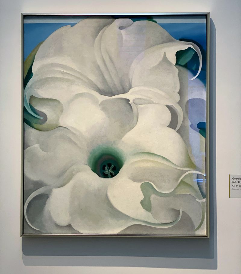 Georgia O'Keeffe Museum