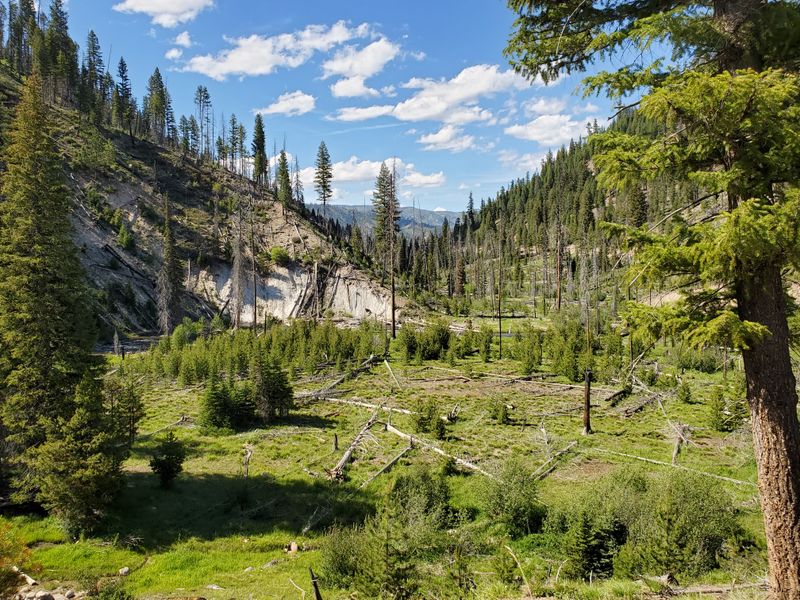 Boise National Forest