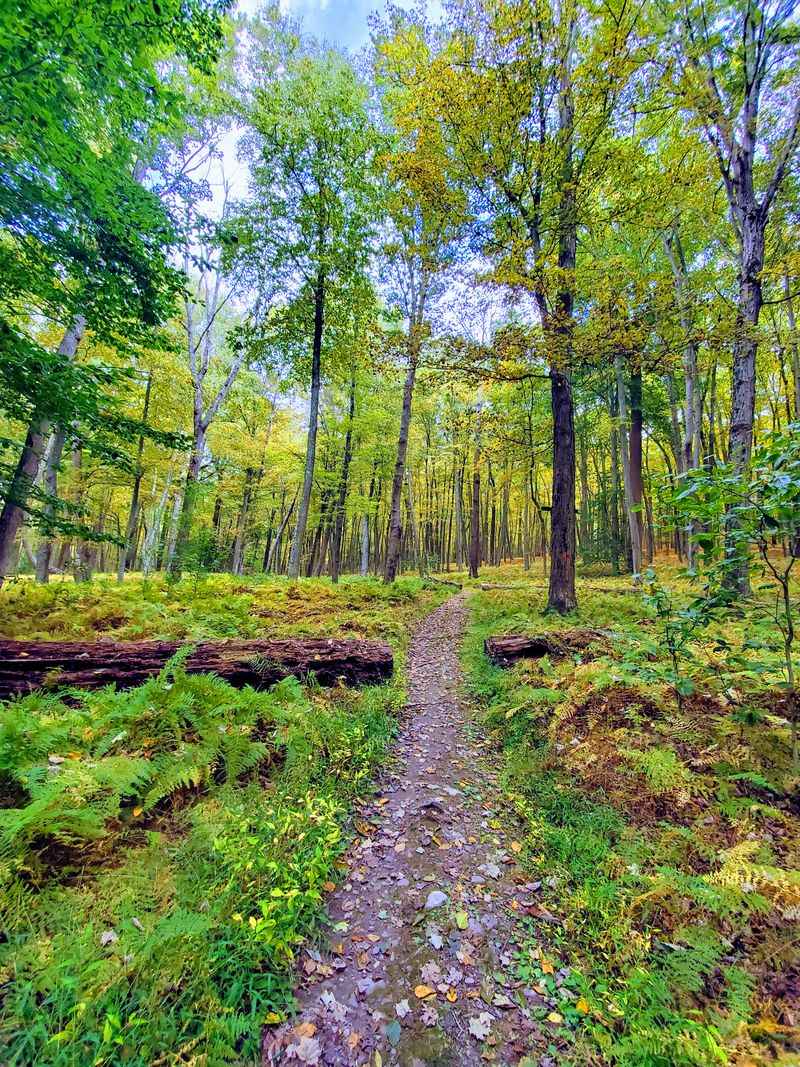 Home To One Of The Most Scenic Stretches Of The Appalachian Trail