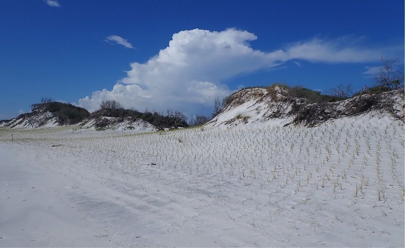 Dramatic Sand Dunes And Coastal Scenery Found Nowhere Else In Florida