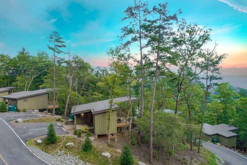 Wildlife, Forest Views, And Morning Light That Fills Every Corner