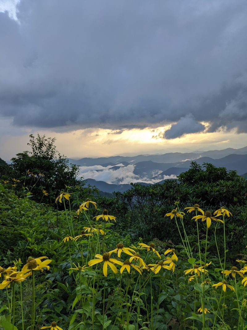 Burnsville Offers Easy Access To The Blue Ridge Parkway Without The Tourist Traffic