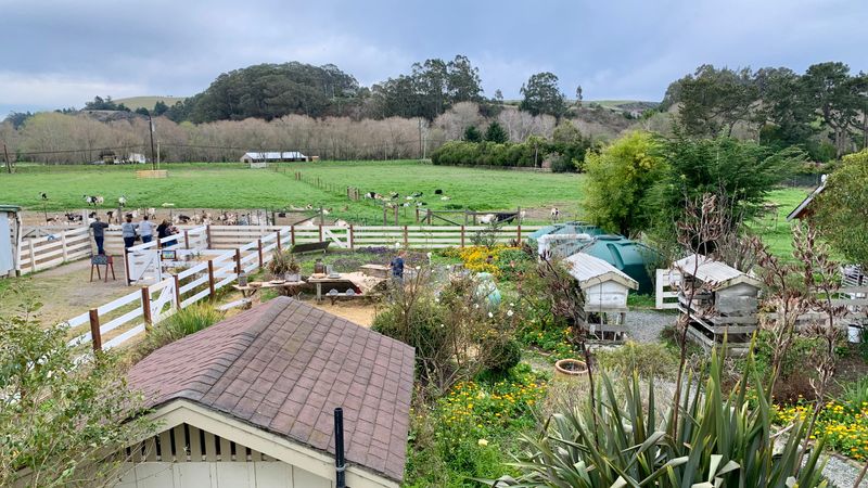 Where Farmland, Ocean Cliffs, And Small-Town Life All Meet