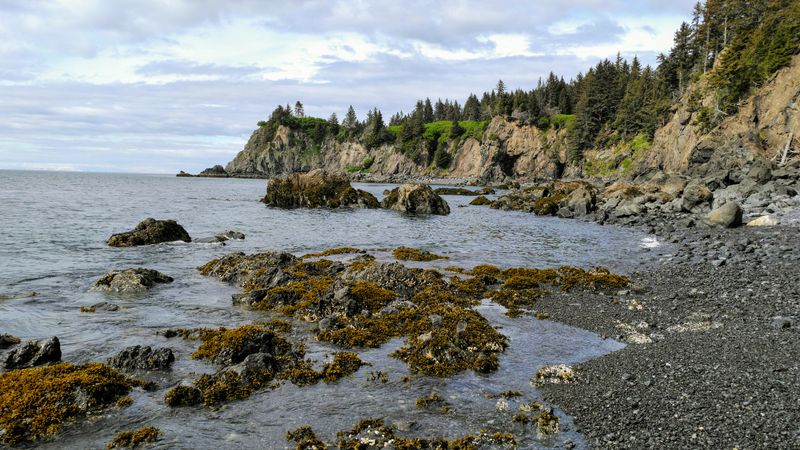 A Haven For Wildlife Lovers On The Edge Of Kachemak Bay