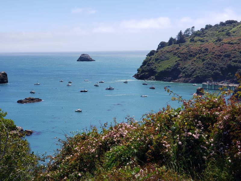 Seafood, Small Kitchens, And Zero Gimmicks: Trinidad’s Delicious Simplicity