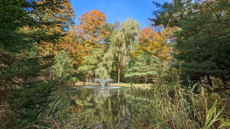 Nearby Nature Preserves Add Wild Beauty Just Beyond The Historic Streets