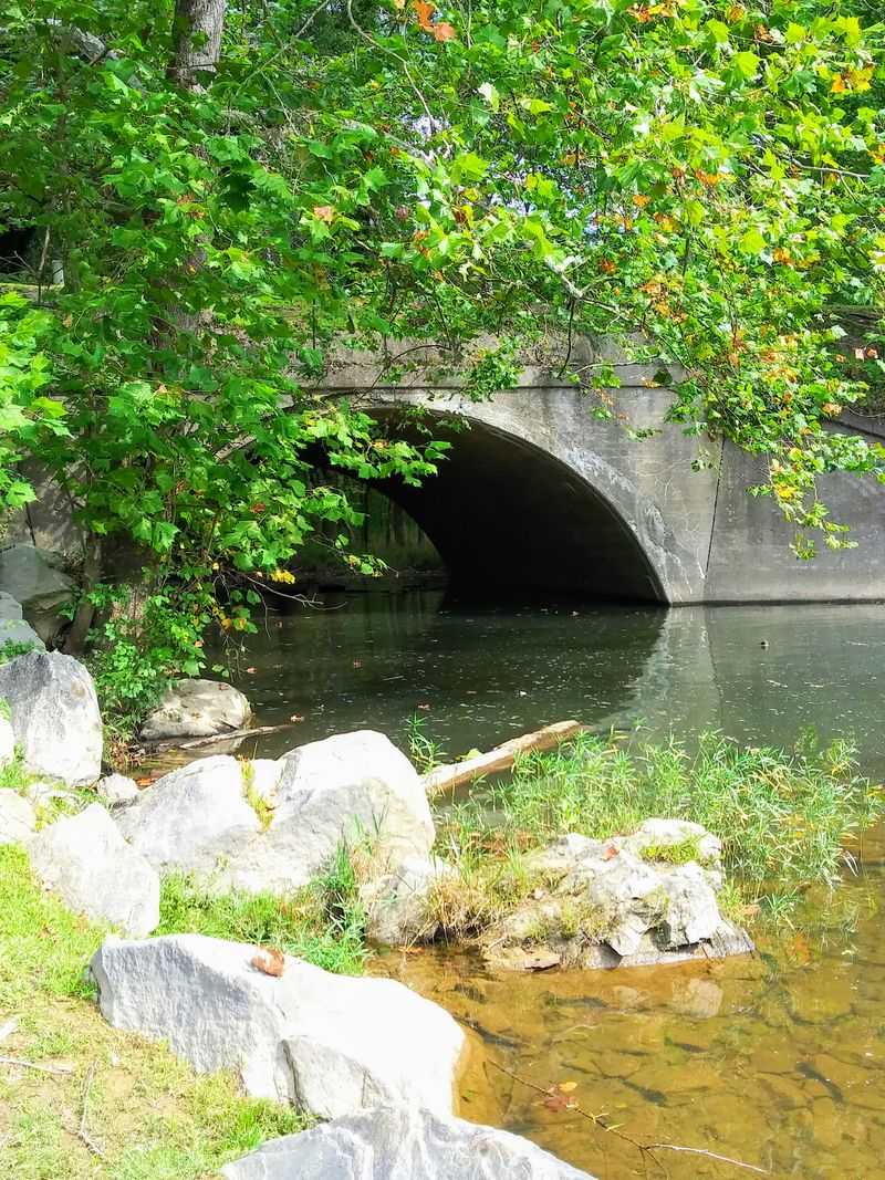 Overshadowed by Its More Famous Neighbors