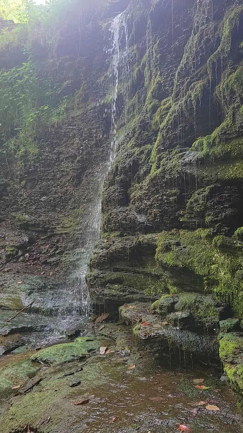 Why Fall Run Feels Wilder Than It Should