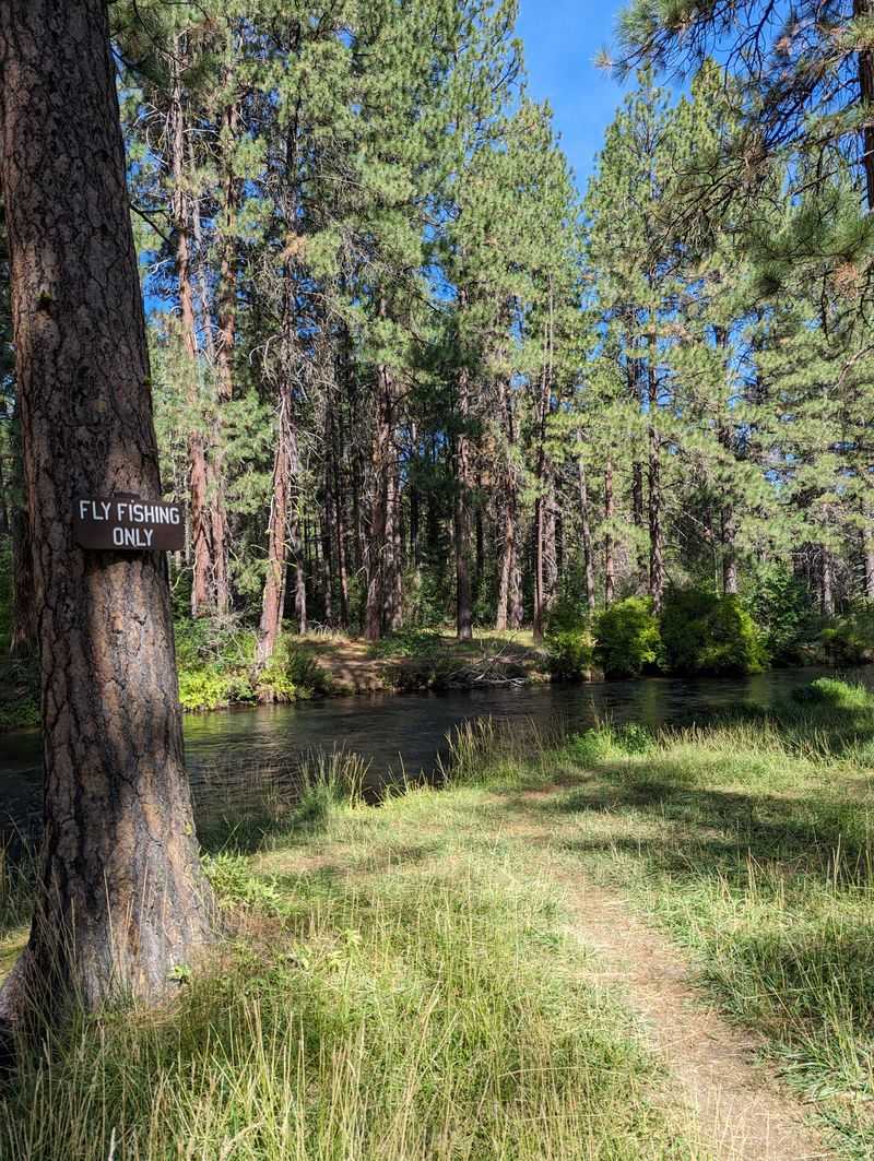Trails That Lead Straight Into Ponderosa Pine Forests And Volcanic Wonders