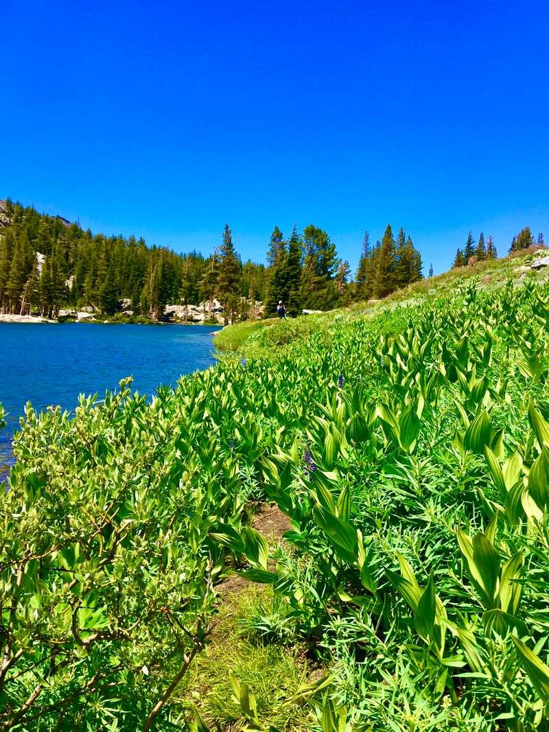 Trailheads That Start Without the Line-Up