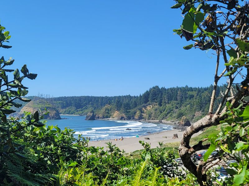 The Secret Redwoods Gateway Without The Tourist Clamor