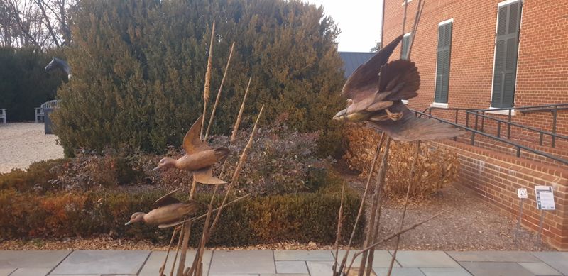 Local Art And Culture: Discovering The Creativity That Flourishes In Middleburg