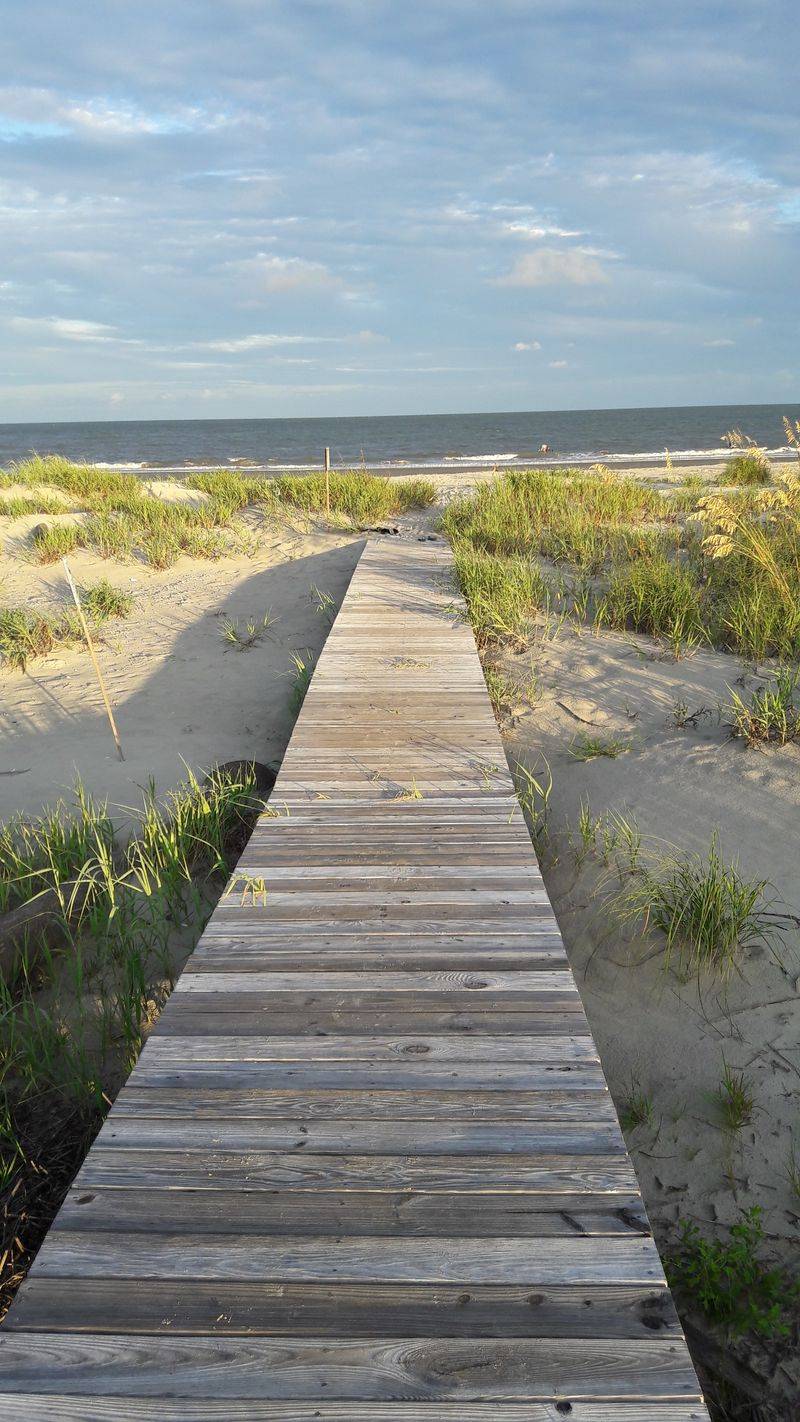 A Rare Look At The South Carolina Coast Before Crowds