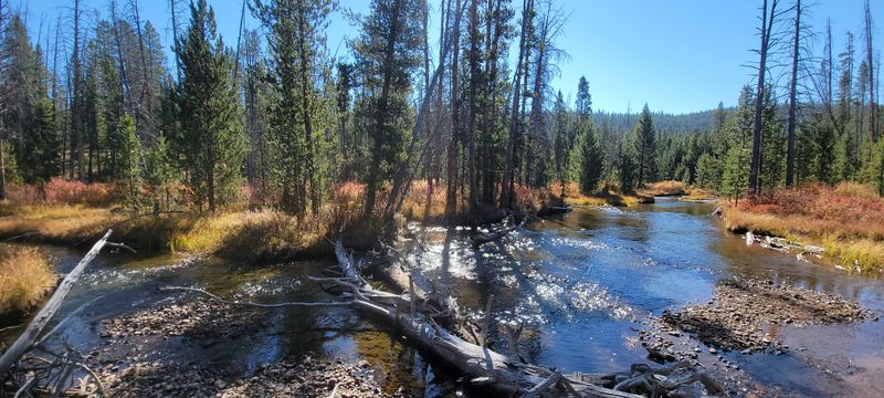 Dark Sky Nights That Feel Like Stepping Back In Time