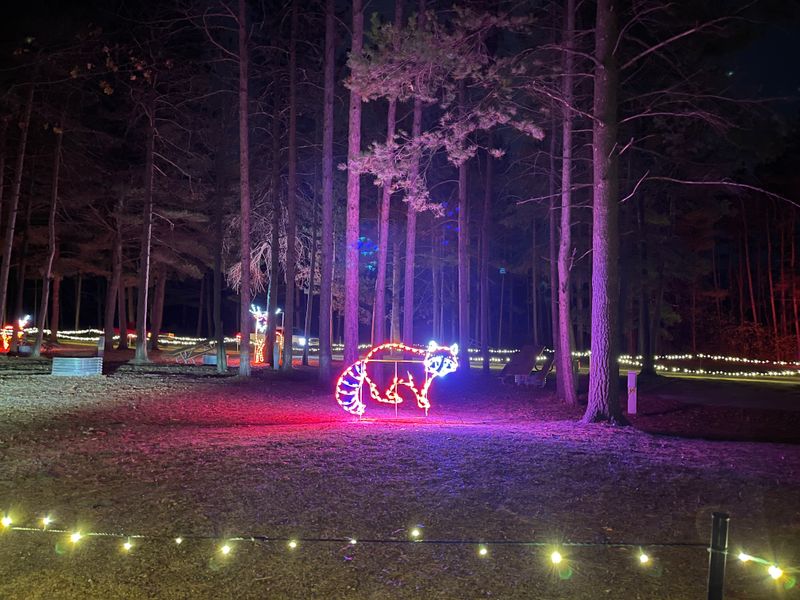 Snow-Covered Downtown Streets That Feel Like a Cozy Northern Village