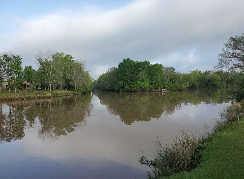 The 9 A.M. Swamp Tour That Sets The Whole Day's Pace