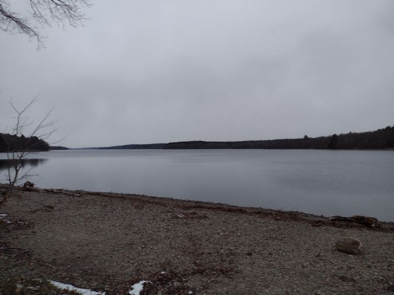 Frozen Rivers, Snowy Forests, And Otherworldly Landscapes