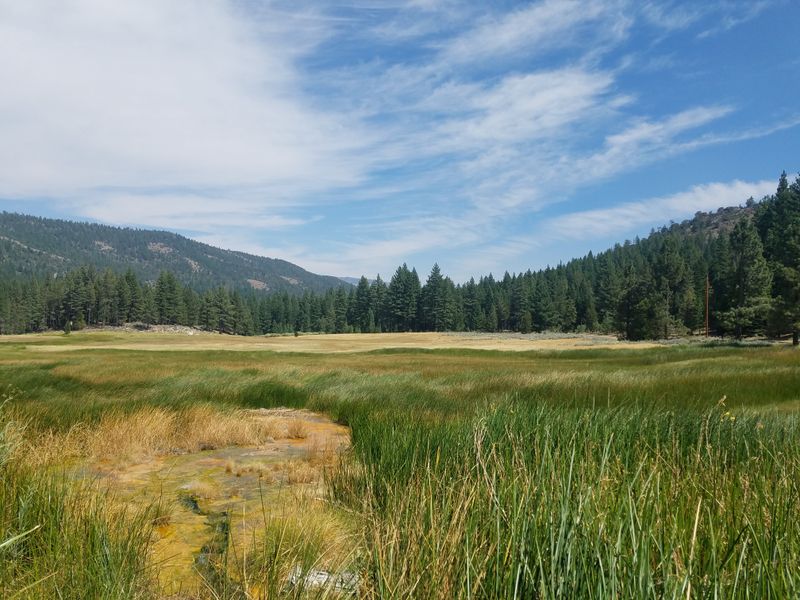 Where The Sierra Nevada Slows Down Enough to Say Hello