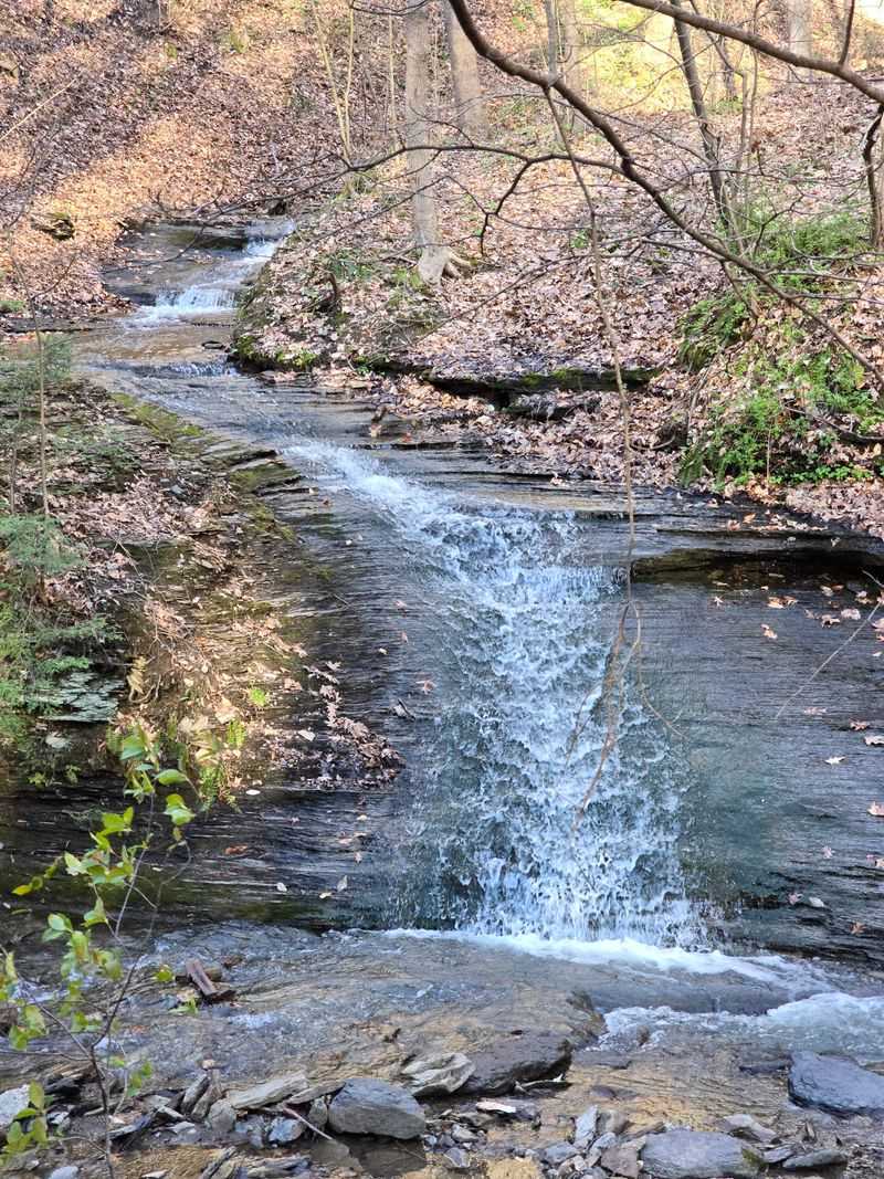 The Ravine That Silences The Outside World