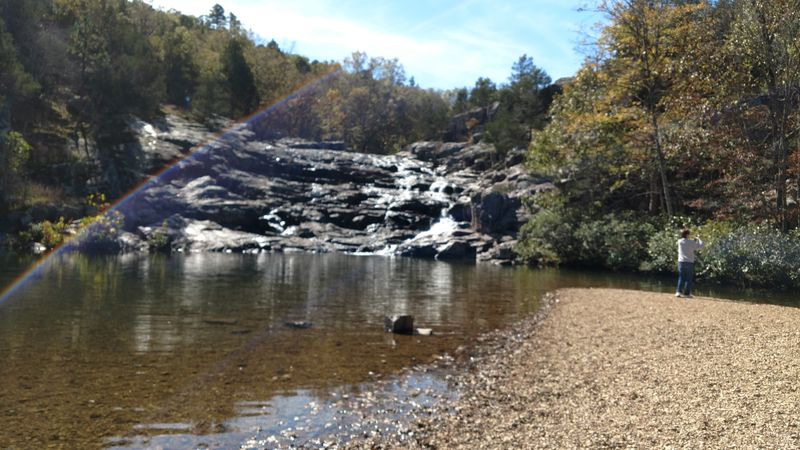 Horses On The Ozark Trails