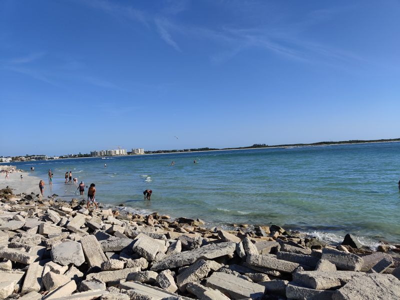 Seafood Without Ceremony