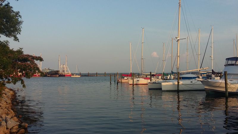 A Working Harbor Where Trawlers And Sailboats Meet