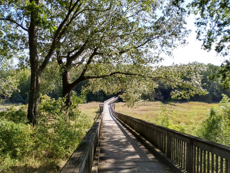 Easy Access to Nature Without Leaving Town Limits