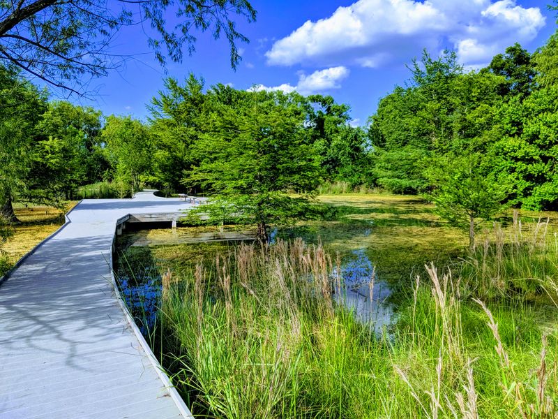 Nature And Serenity Await At The Cibolo Nature Center
